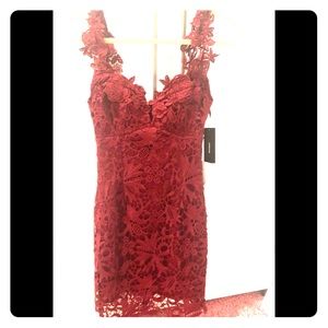 Burgundy lace bodycon dress (Uno, Dos, Lace)